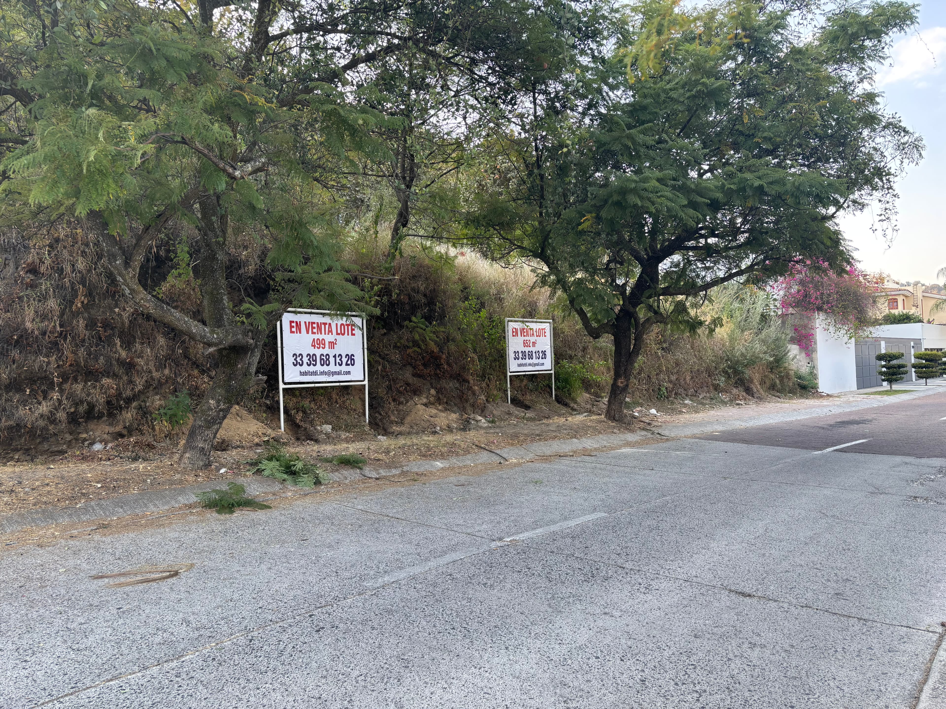 Asset image 1